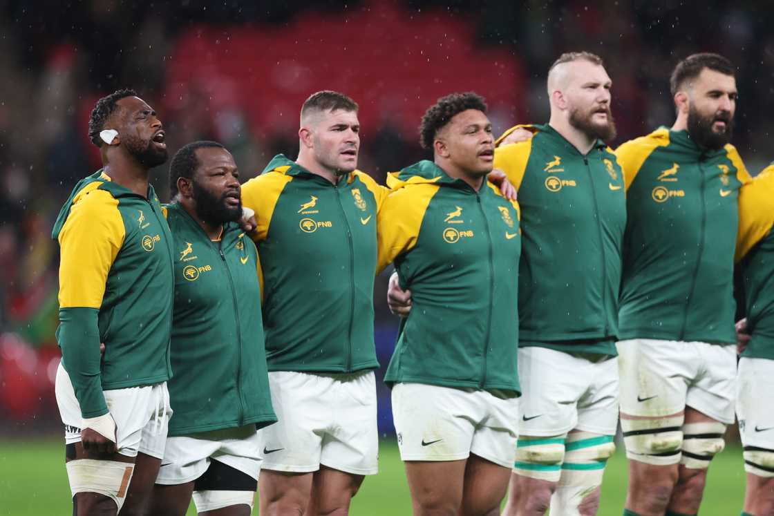 Springboks Springboks
