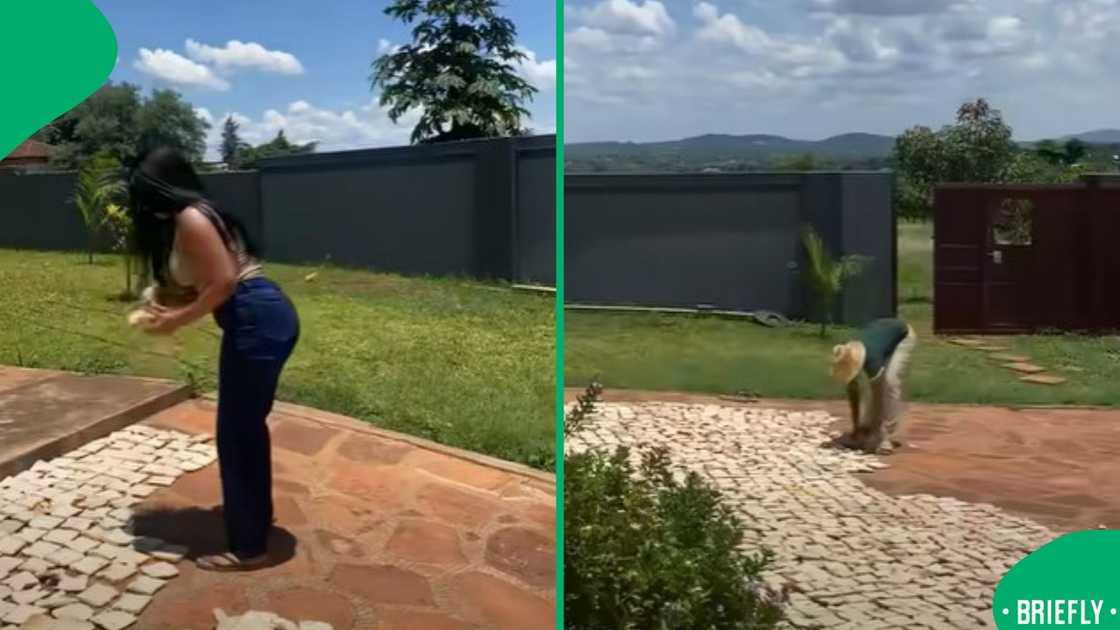 The visual captured two women putting bread for farming