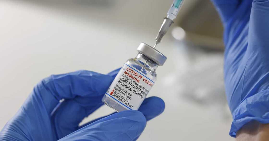 Covid 19, Vaccine certificate, Omicron Covid 19, Vaccine certificate, Omicron