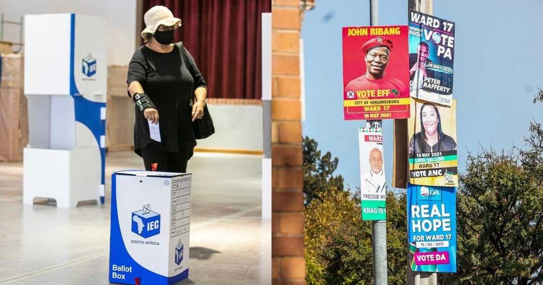 Constitutional Court, dismiss, DA, application, IEC Constitutional Court, dismiss, DA, application, IEC