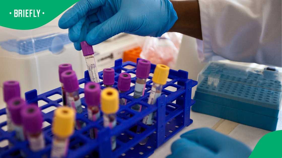 Information circulating online is fake Information circulating online is fake