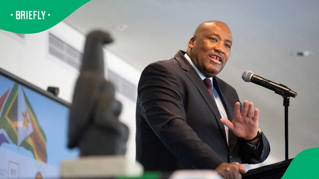 Sports, Arts and Culture Minister Gayton McKenzie launched an investigation into the use of the South African Coat of Arms by the Somali Association of South Africa