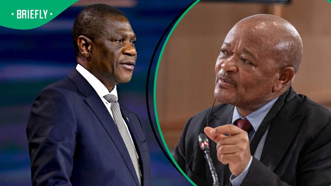 Paul Mashatile denied that Senzo Mchunu was being protected Paul Mashatile denied that Senzo Mchunu was being protected
