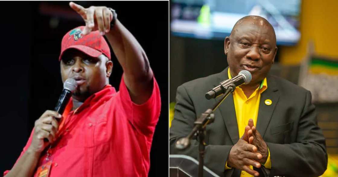 EFF, Floyd Shivambu, President Cyril Ramaphosa, ANC, Twitter, elections re-run EFF, Floyd Shivambu, President Cyril Ramaphosa, ANC, Twitter, elections re-run