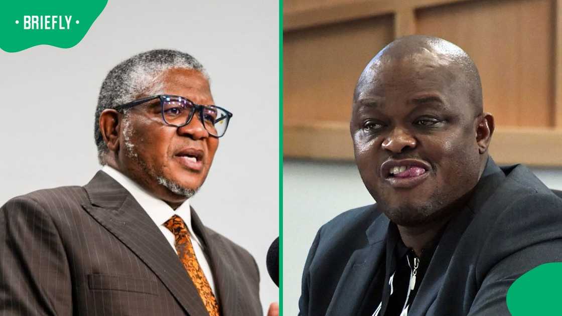 Fikile Mbalula won his court case against Brown Mogotsi Fikile Mbalula won his court case against Brown Mogotsi