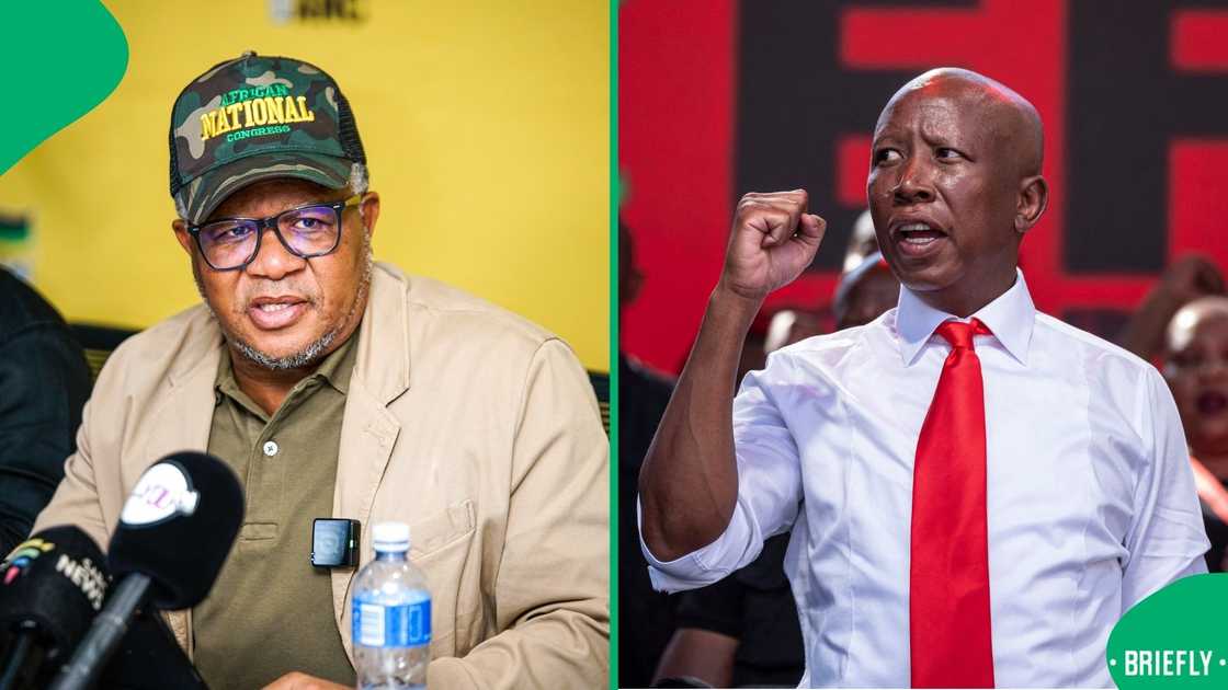 Fikile Mbalula has expressed the ANC's concern with letting Julius Malema into the GNU Fikile Mbalula has expressed the ANC's concern with letting Julius Malema into the GNU