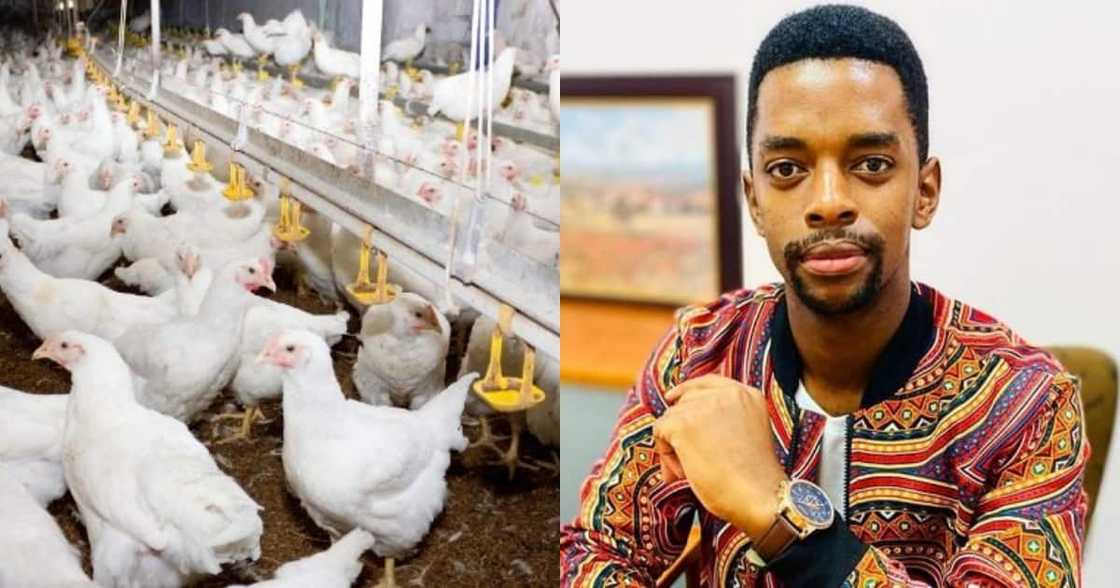 This Is the Future: Retrenched Workers Open Their Own Successful Farm This Is the Future: Retrenched Workers Open Their Own Successful Farm