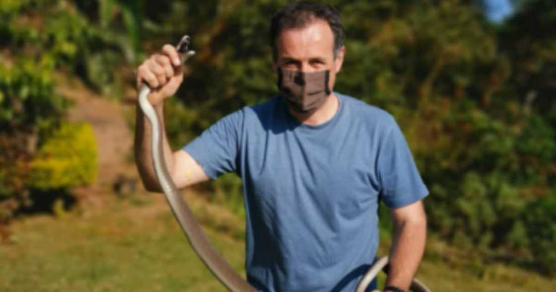 Black Mamba, Female, Nick Evans, Durban, KwaZulu-Natal, Facebook, Homeowner, Garden, Gardner, Snake, Snake handler Black Mamba, Female, Nick Evans, Durban, KwaZulu-Natal, Facebook, Homeowner, Garden, Gardner, Snake, Snake handler