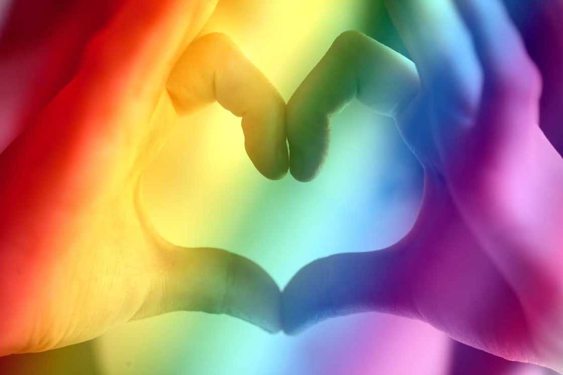 best gay dating apps best gay dating apps