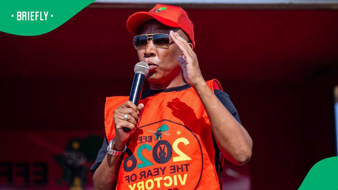 Economic Freedom Fighters president Julius Malema addresses a rally in Heilbron, Free State Economic Freedom Fighters president Julius Malema addresses a rally in Heilbron, Free State