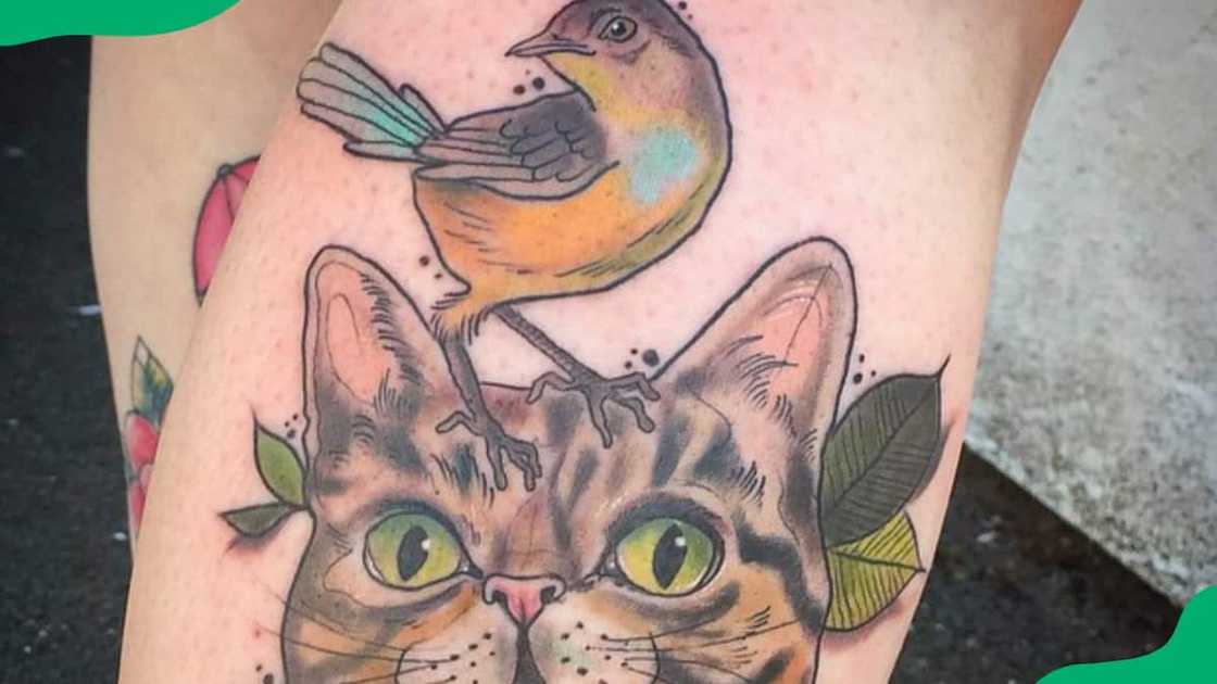 Cat and bird tattoo