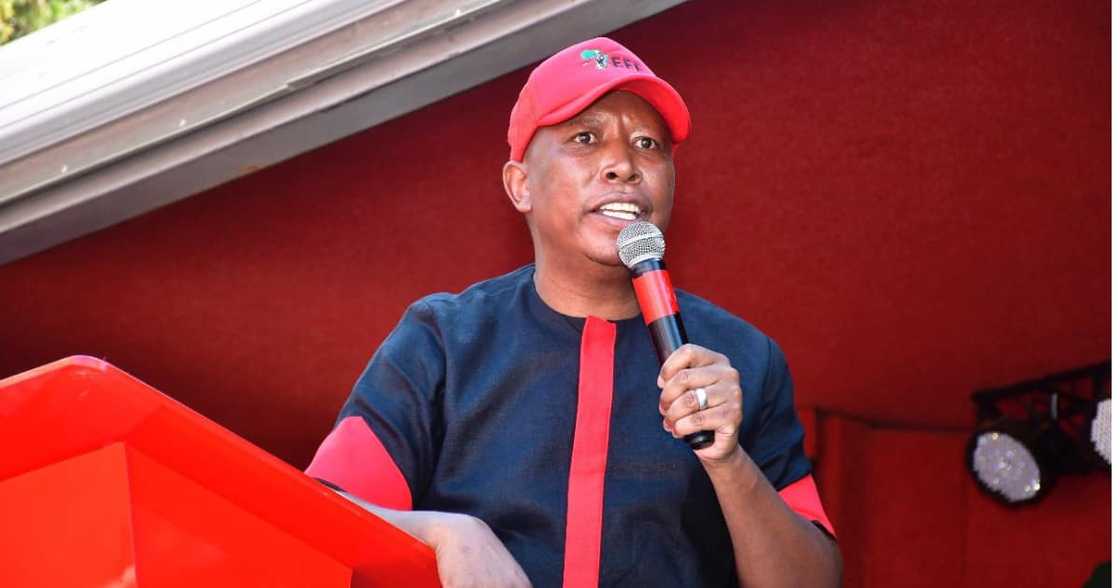 Julias Malema, EFF, assault case, white supremacy Julias Malema, EFF, assault case, white supremacy