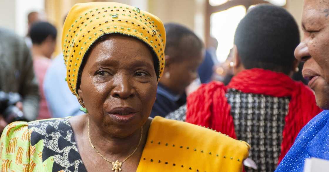 Minister Nkosazana Dlamini-Zuma chased away