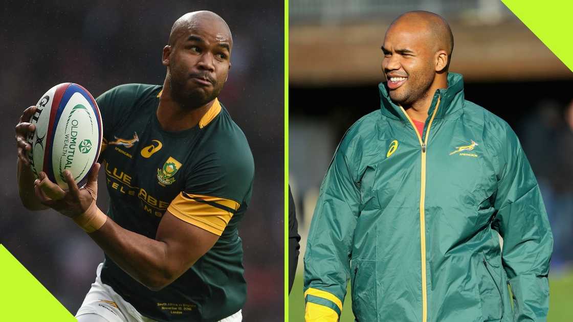 JP Pietersen predicts glory for the Boks.