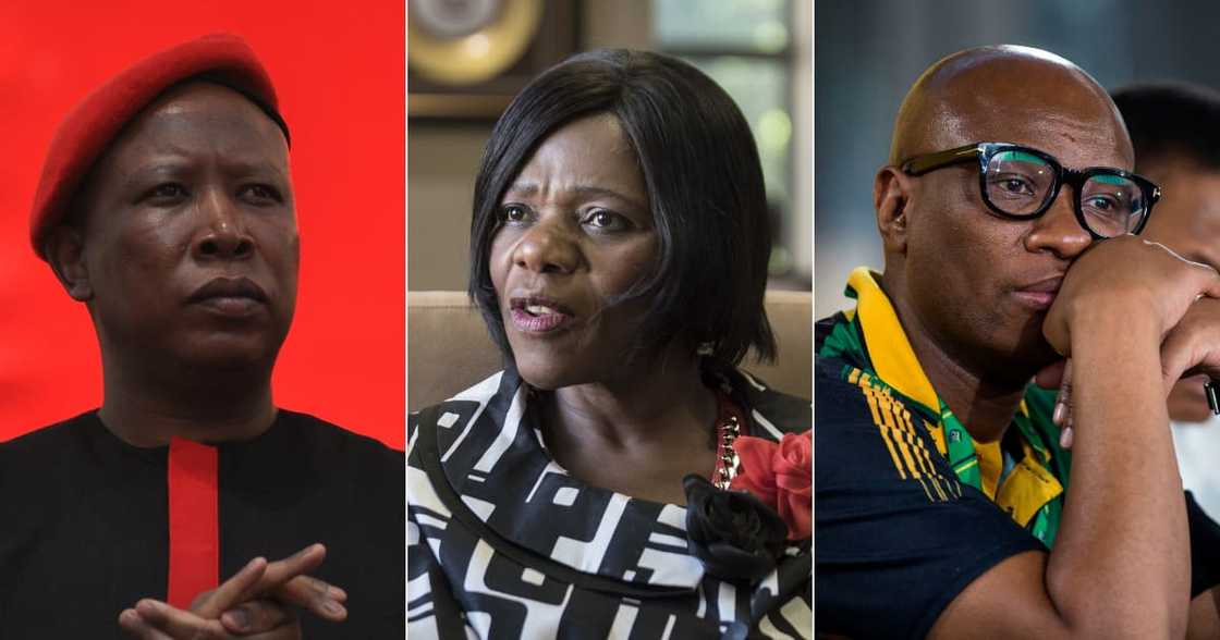 FW De Klerk, Julius Malema, cryptic tweet, Zizi Kodwa, Thuli Madonsela, South Africa, apartheid