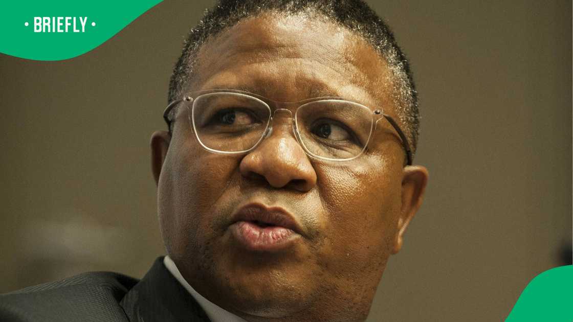 Netizen dragged Fikile Mbalula after paying tribute to Solly Moholo