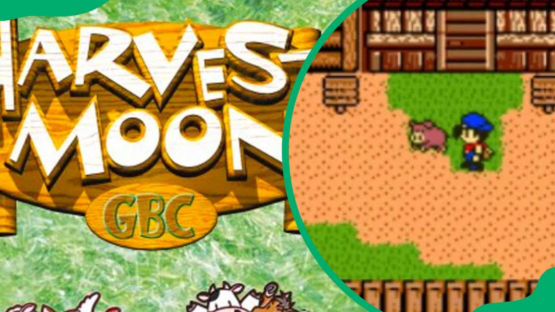 Harvest Moon 3