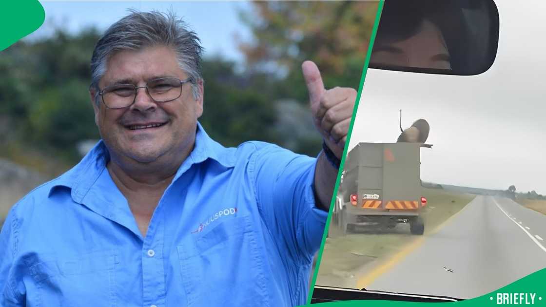 The video showed the lion fall flat onto the road after jumping, nut luckily, it wasn't harmed The video showed the lion fall flat onto the road after jumping, nut luckily, it wasn't harmed