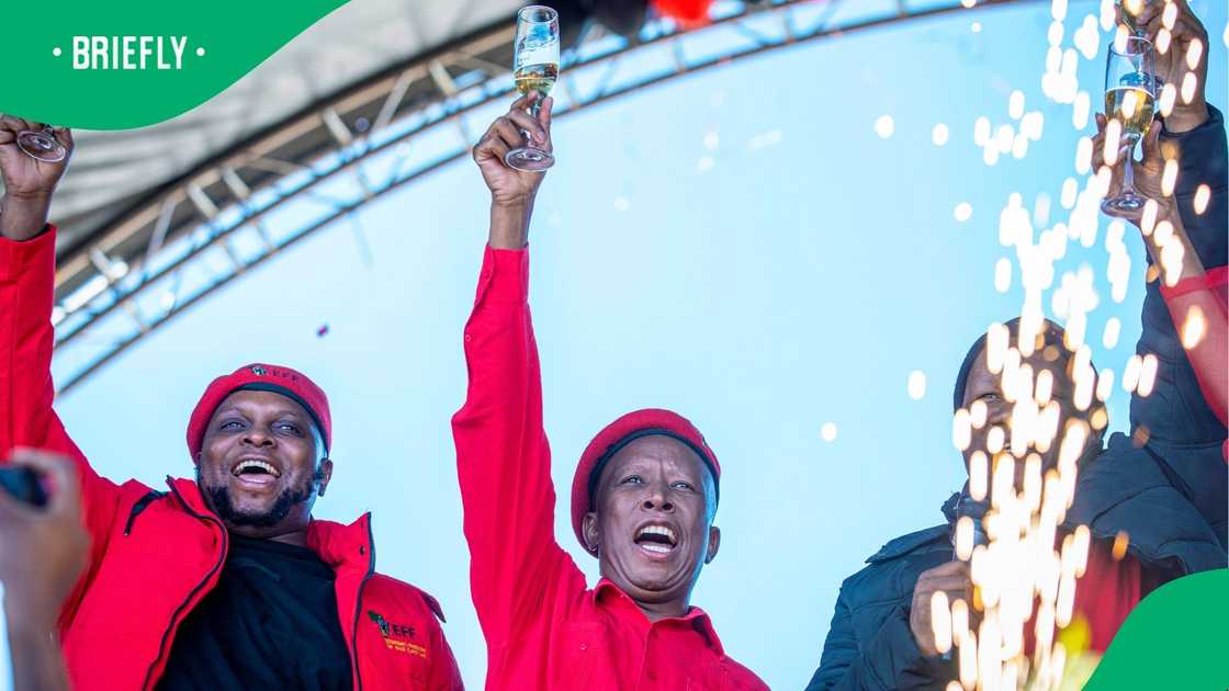 Dr Khehlelezi claimed that Floyd Shivambu and Julius Malema were still great friends