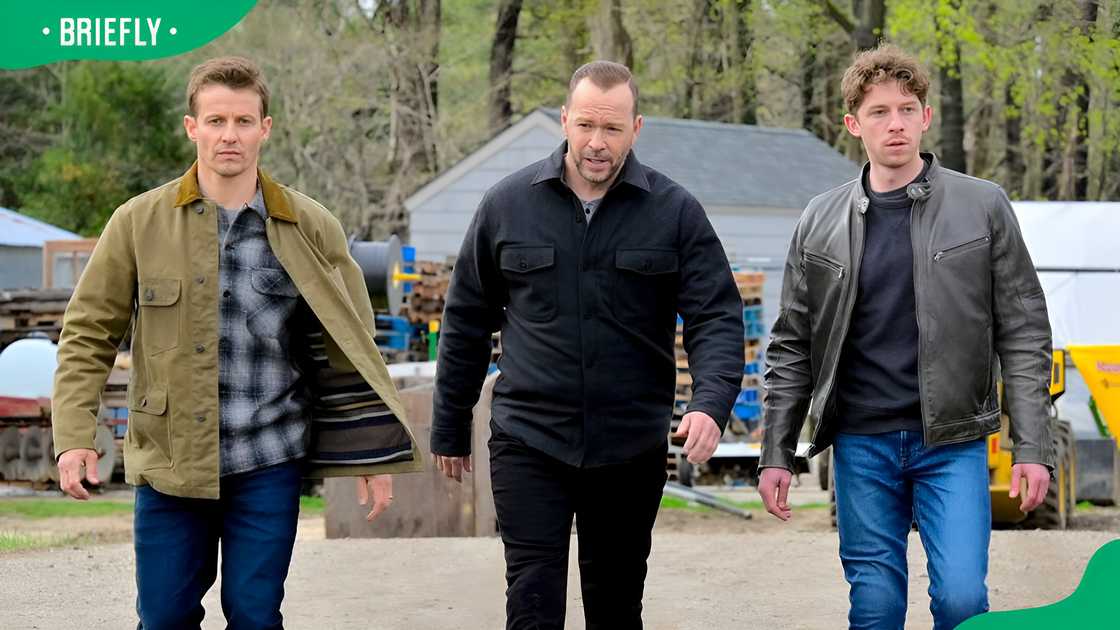 Blue Bloods cast Blue Bloods cast