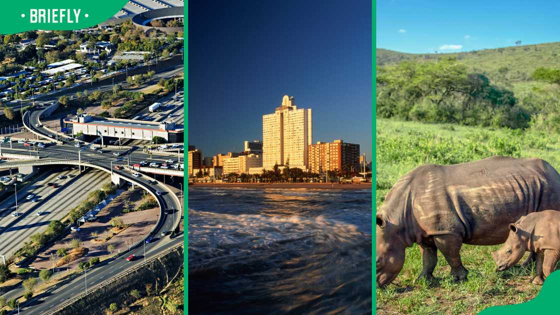 New Road Bridge in Gauteng Province, Marine Parade hotels in Nata, Mother and baby White Rhinoceros grazing New Road Bridge in Gauteng Province, Marine Parade hotels in Nata, Mother and baby White Rhinoceros grazing