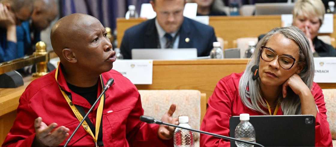 Julius Malema called for the state to act on AfriForum's alleged racism