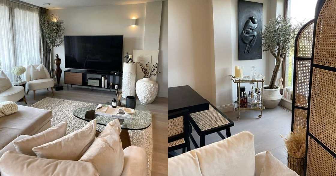 Lady, house, sleek design, interior decor, London Lady, house, sleek design, interior decor, London