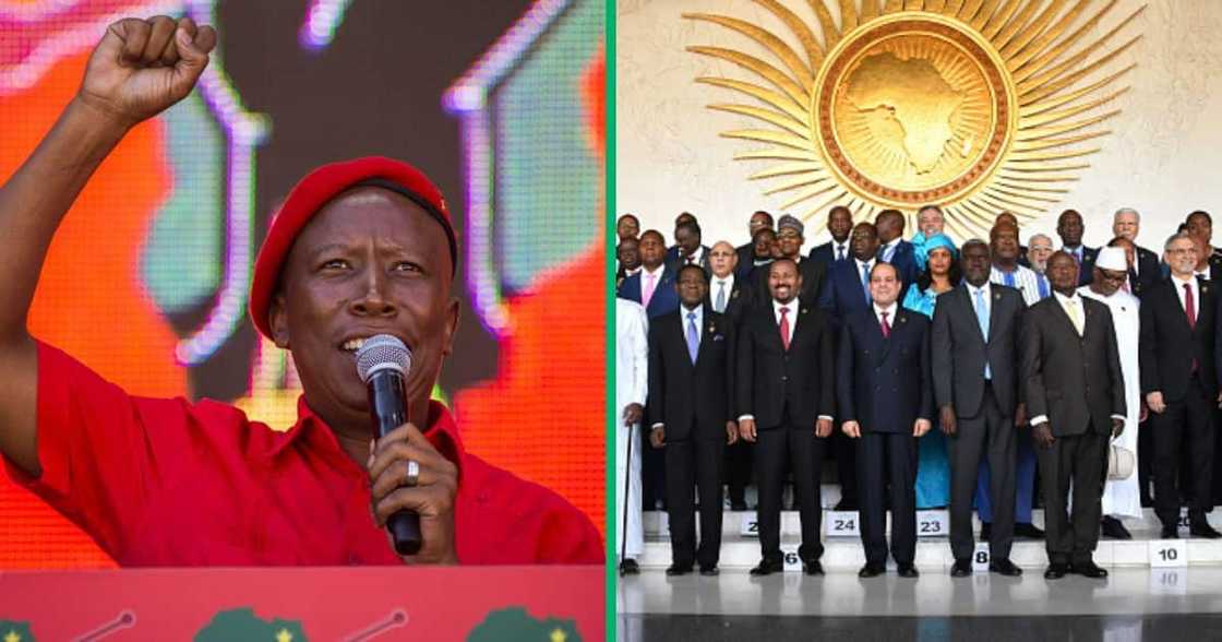 Malema called for a stronger AU