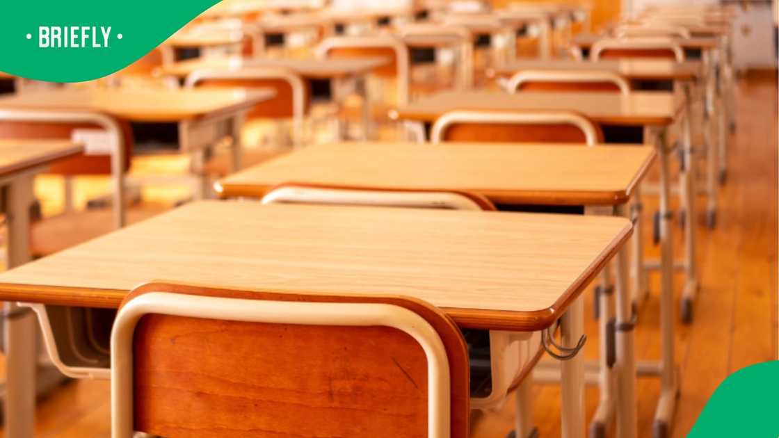 On Tuesday, several district offices around the province had parents in snaking queues with the hope of securing placement in a school of their choice. On Tuesday, several district offices around the province had parents in snaking queues with the hope of securing placement in a school of their choice.