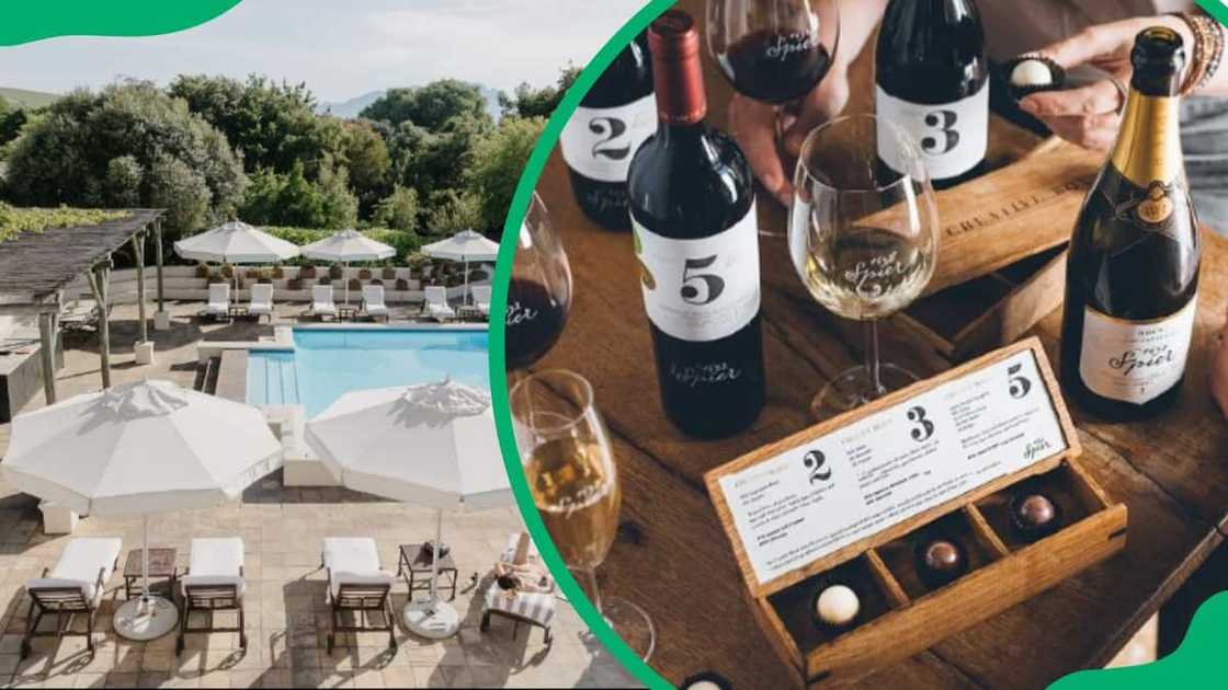 best wine farms in Cape Town best wine farms in Cape Town