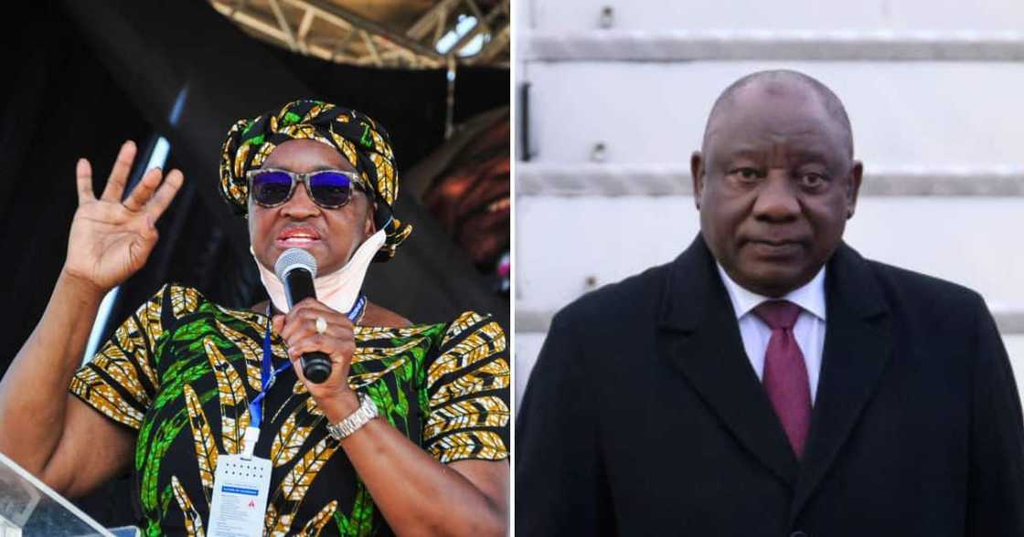Bathabile Dlamini says President Ramaphosa is an outsider Bathabile Dlamini says President Ramaphosa is an outsider