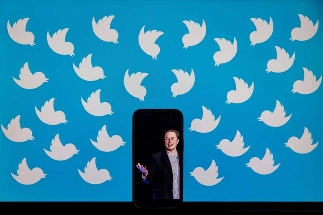 Elon Musk has turned Twitter upside down, just three weeks after his $44 billion acquisition of the platform Elon Musk has turned Twitter upside down, just three weeks after his $44 billion acquisition of the platform