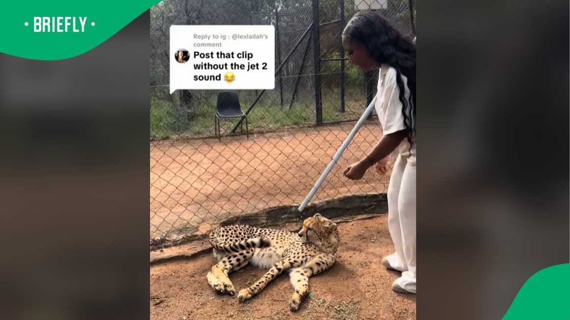 A video went viral. A video went viral.