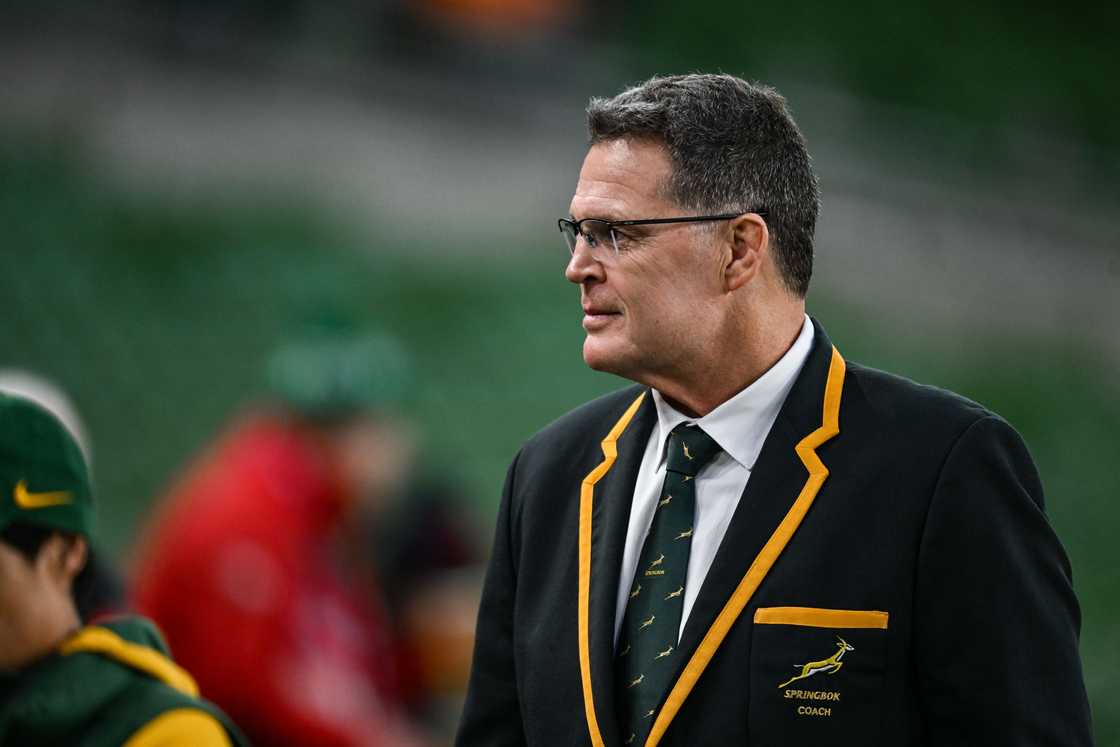 Rassie Erasmus, Springboks, South Africa