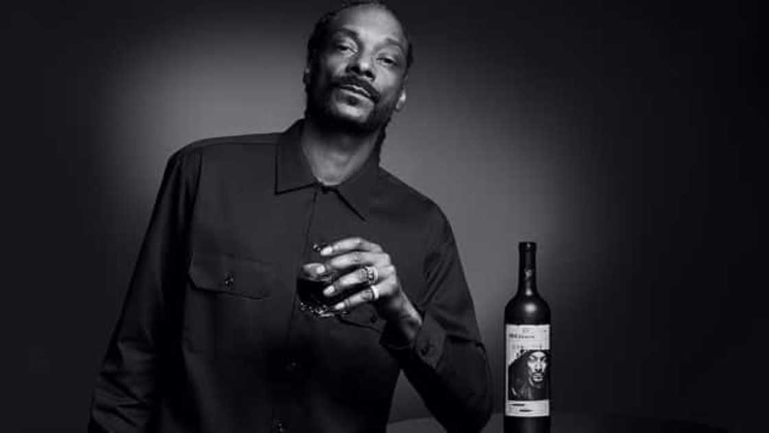 Snoop Dogg, legal action, image, name, merchandise, Snoop on a Stoop