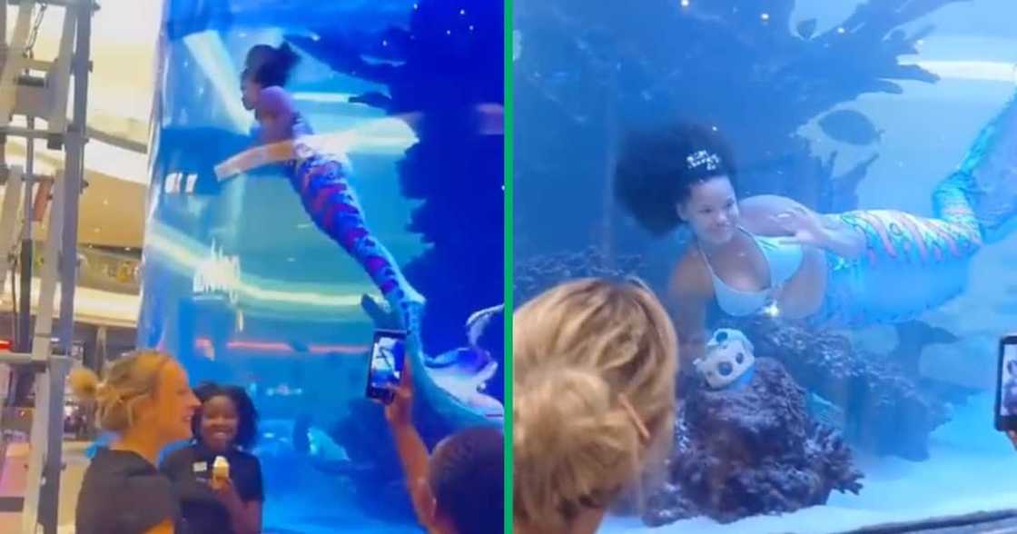 Gabriela Green-Thompson, aka Nokukhanya the Mermaid, had a close call in Cresta Mall's aquatic tank. Gabriela Green-Thompson, aka Nokukhanya the Mermaid, had a close call in Cresta Mall's aquatic tank.