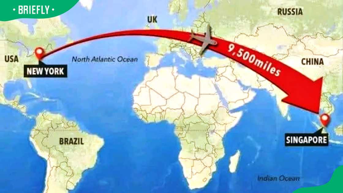 Longest flight