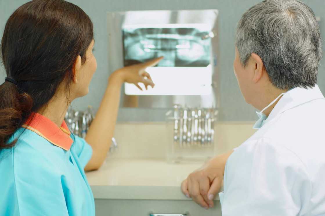dentist schools in South Africa dentist schools in South Africa
