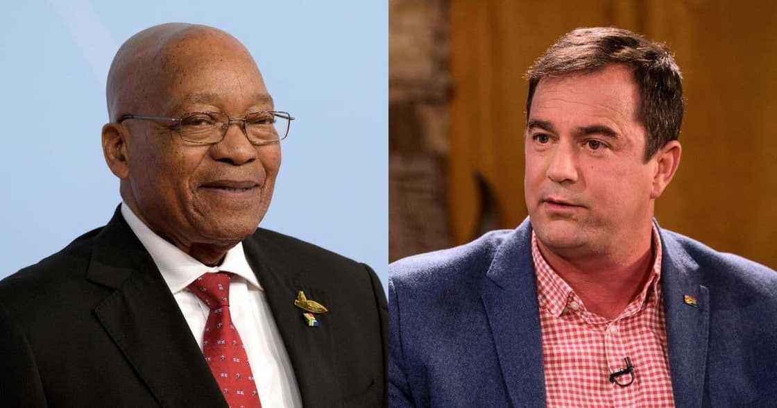 Jacob Zuma, DA, John Steenhuisen, medical parole, reviewed