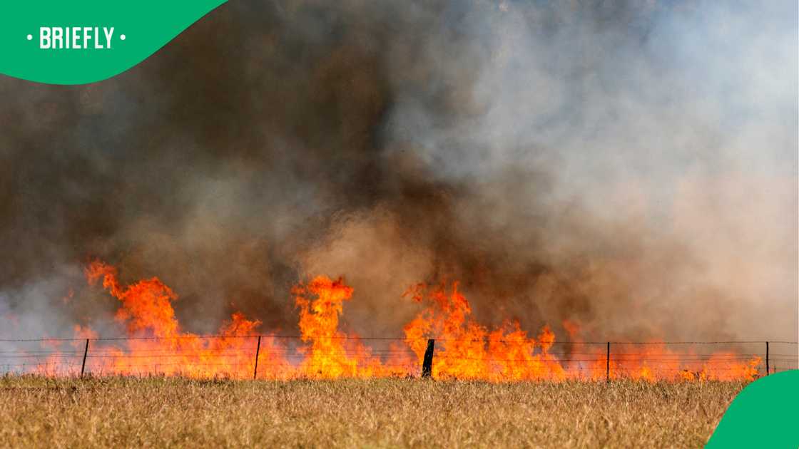 SA weather warning: Extremely high fire danger for 2 North West municipalities SA weather warning: Extremely high fire danger for 2 North West municipalities
