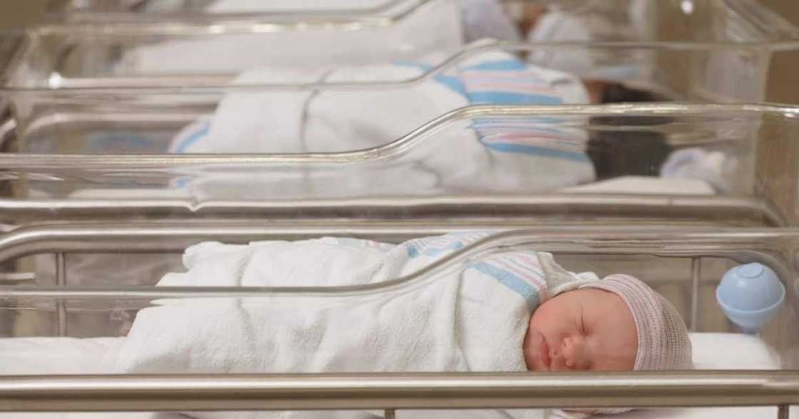 Newborns, new babies, quadruplets, North West Department of Health, South African woman, mother of nine Newborns, new babies, quadruplets, North West Department of Health, South African woman, mother of nine