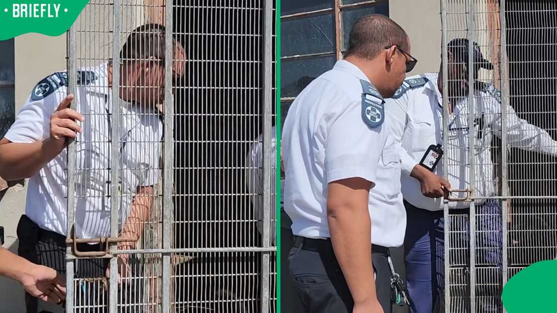 Cape of Good Hope SPCA