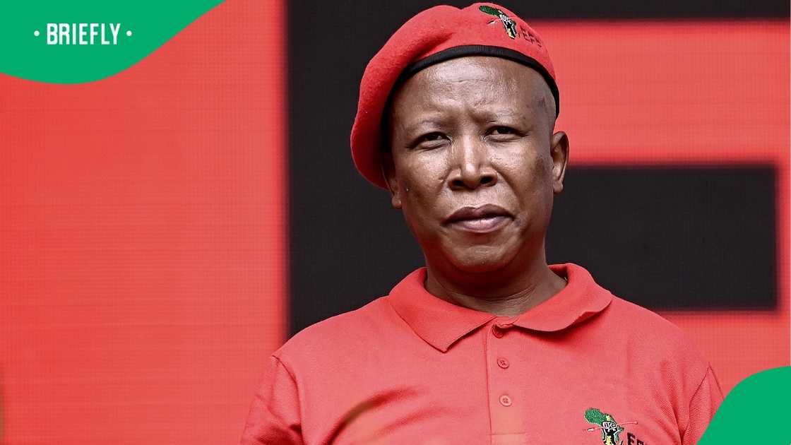 Julius Malema has received the backing of the leadership structures in Gauteng Julius Malema has received the backing of the leadership structures in Gauteng