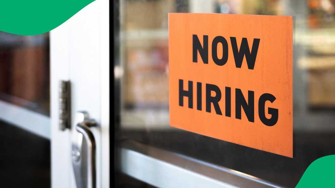 Wits economist Dr Kenneth Creamer discussed unemployment in SA with Briefly News Wits economist Dr Kenneth Creamer discussed unemployment in SA with Briefly News