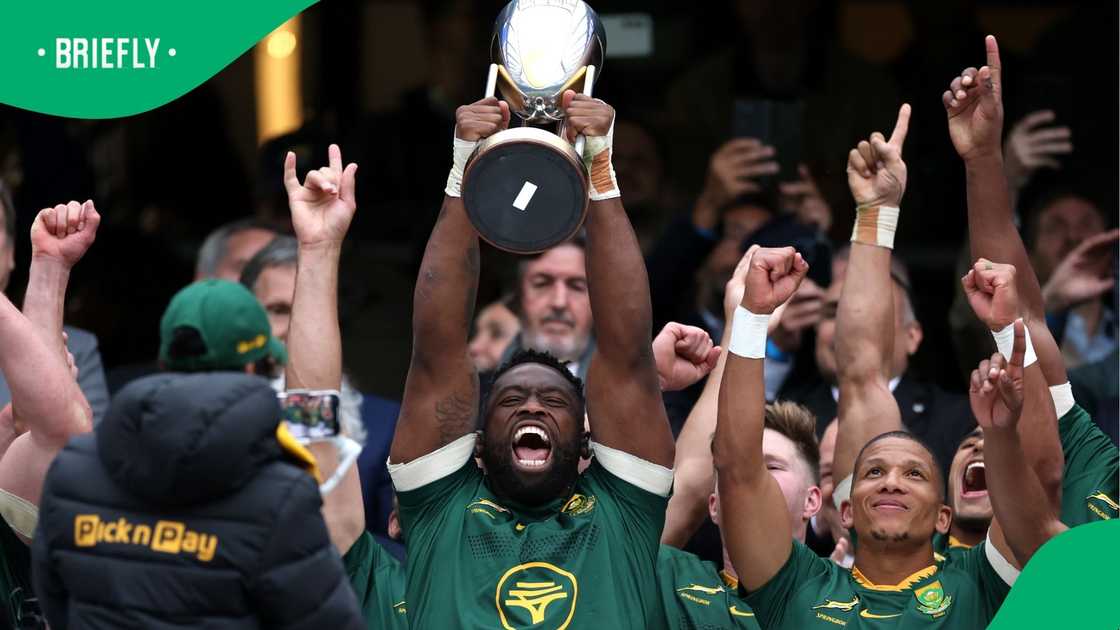 Springboks, Siya Kolisi, Rugby Championship, All Blacks
