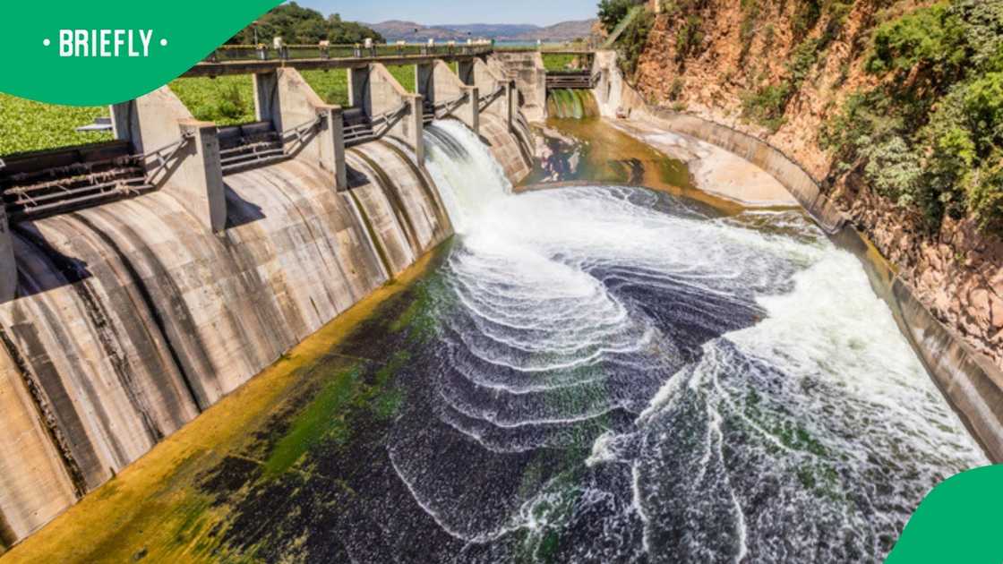Expert shares thoughts on current state of Hartbeespoort Dam