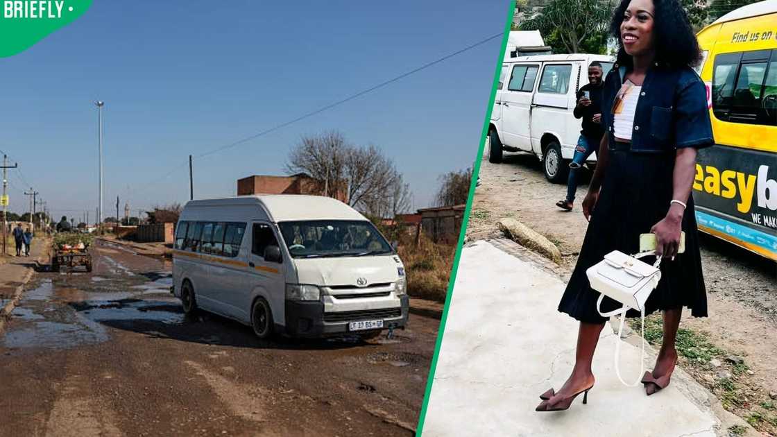 Mpumalanga taxi drivers