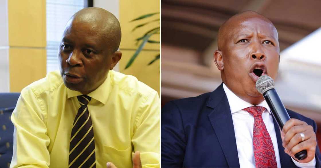 Mashaba slams Malema's bid to postpone local elections until 2024 Mashaba slams Malema's bid to postpone local elections until 2024