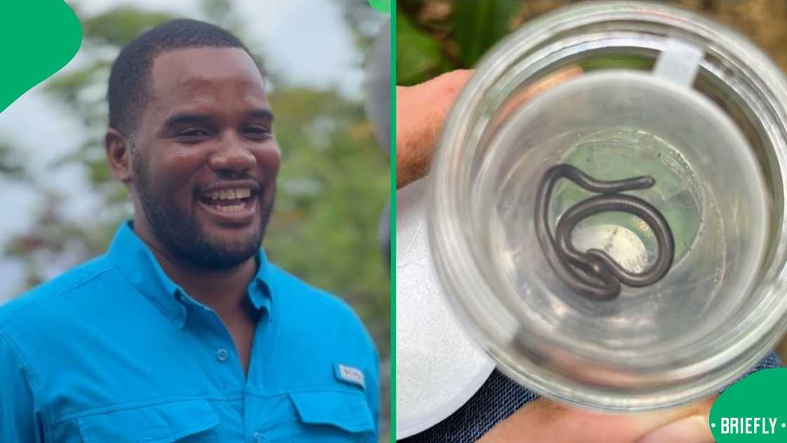 Justin Springer was a part of the team who found a threadsnake.