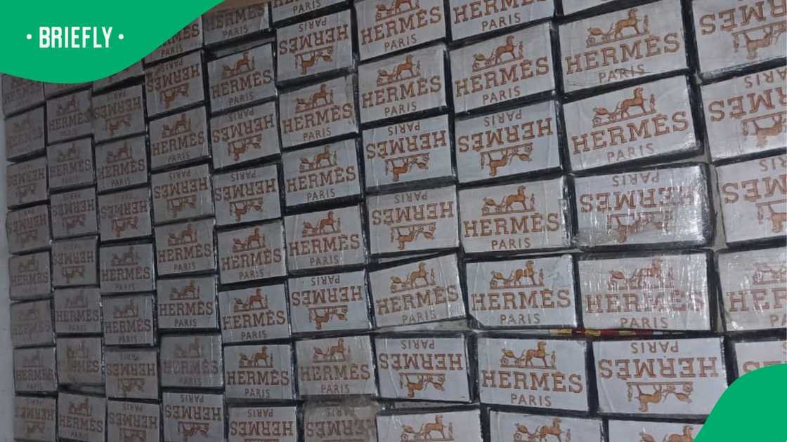 A 56-year-old suspect was arrested in johannesburg A 56-year-old suspect was arrested in johannesburg